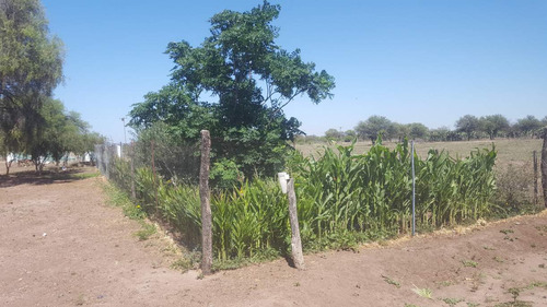 Campo En Venta Villa Quilino - Campo Ganadero Con 2 Casas