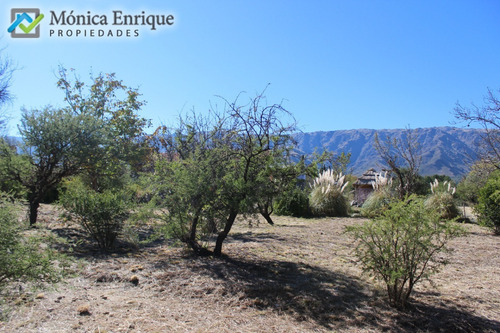 Lote De 1500m2 En Cerro De Oro, Sobre Calle Cuesta De La Granadilla