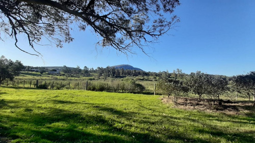 Chacra En Piriápolis