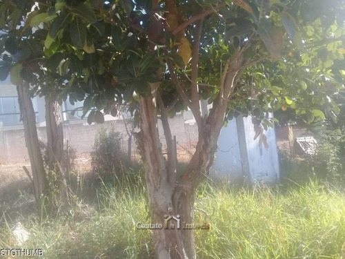 Imagem 7 de 11 de Terreno Jardim Dos Pinheiros Em Atibaia - 468m² - Te0026-1