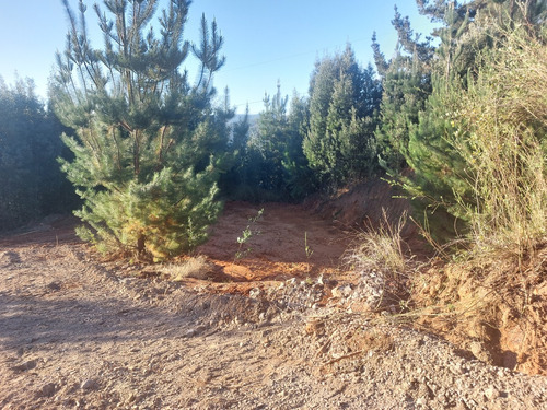 Vendo Parcela 5.100 M2 Laguna Pineda. Concepción