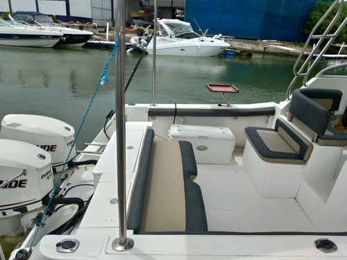 Lancha Fishing 28 Wa