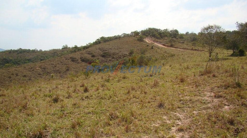 Imagem 3 de 21 de Fazenda À Venda Em Fazenda Paraiso - Fa238982