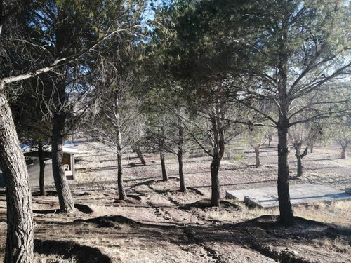 Imagen 9 de 17 de Terrenos En Venta Zona Reliz Chihuahua