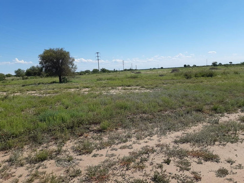 Campo En Venta Sobre Ruta 146 San Francisco, San Luis