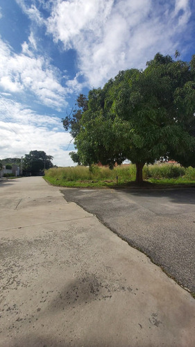 Imagen 4 de 7 de En Venta Terreno En Esquina En Guataparo Country Club