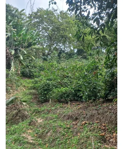 Se Vende Finca Córdoba Quindío