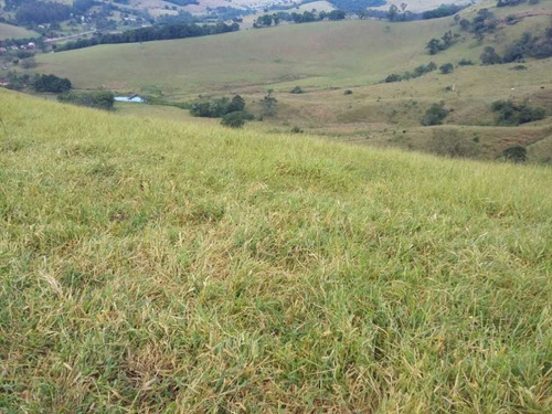 Imagem 27 de 29 de Fazenda De Gado Com 263 Hectares Itajuba - 36525