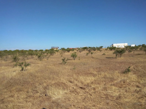 Se Vende Parcela 5000m2 Terreno Plano