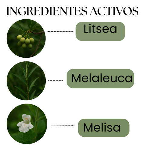Aceite Esencial Herbal De 32 Hierbas Philip Martins 30 Ml