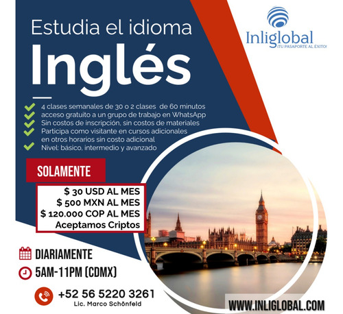 Curso De Inglés/alemán/francés Online En Tiempo Real