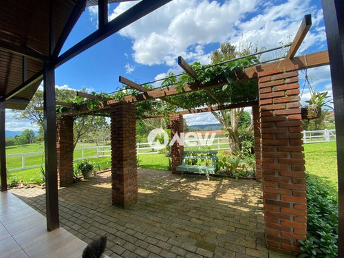 Imagem 8 de 18 de Chácara Com 2 Dormitórios À Venda, 26000 M² Por R$ 745.000,00 - Lomba Grande - Novo Hamburgo/rs - Ch0090