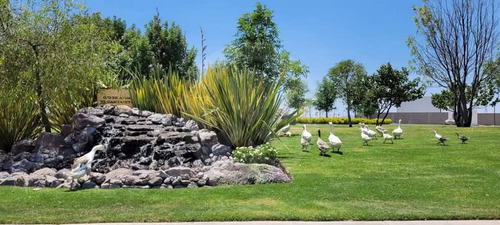 Terreno En Venta En El Faro De Los Cisnes Corregidora Querétaro