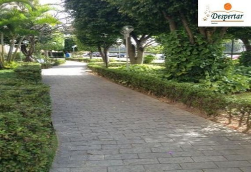 05644 - Apartamento 2 Dorms, Parque São Domingos - São Paulo/sp - 5644