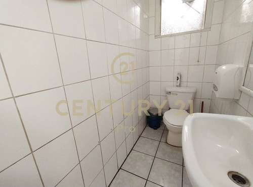 Imagen 16 de 30 de Venta Terreno Con 2 Casas Oficina - Rodrigo De Triana