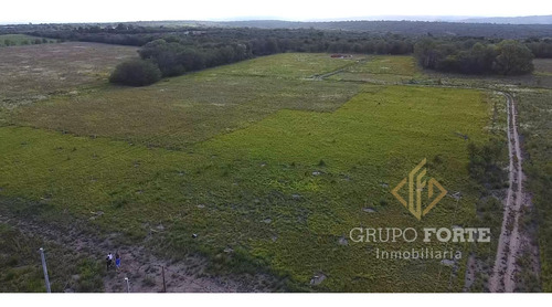 Imagen 4 de 29 de Lotes En Quillinzo