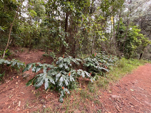 Terreno Rincón Jaímes
