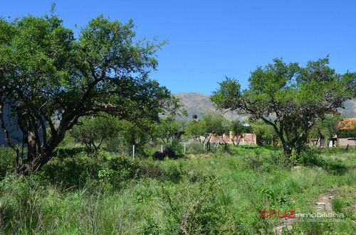Imagen 5 de 14 de Lote De 1000m2 En Barrio Solares, Pegado A Las Moreras