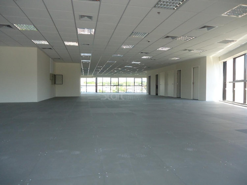 Imagem 10 de 14 de Sala Para Aluguel Em Cambuí - Sa007055
