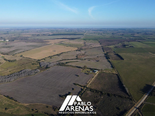 Campo En Venta 24 Ha, Rosario #2458