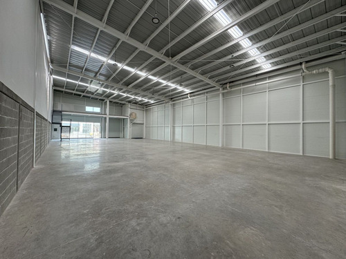 Bodega Junto Piq Con Andén Autonivelable Y Rampa