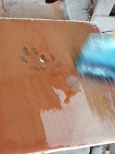 Imagen 3 de 3 de Loseta Piso Saltillo Barro Huellas Footprints Información