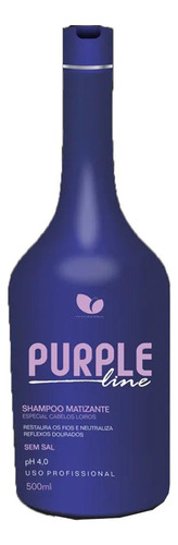 Tratamento Matizador Shampoo Hidratação 500 Ml Violeta