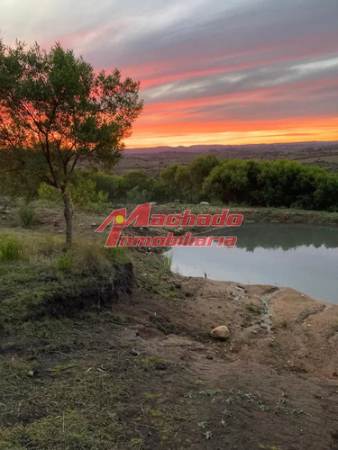 Vendo Hermosa Chacra En Las Cañas.