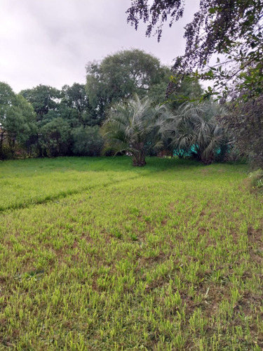 Venta Local Comercial 1 Dormitorio Atlántida Con Cochera