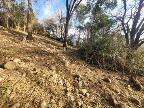 Terreno En Venta En Nono