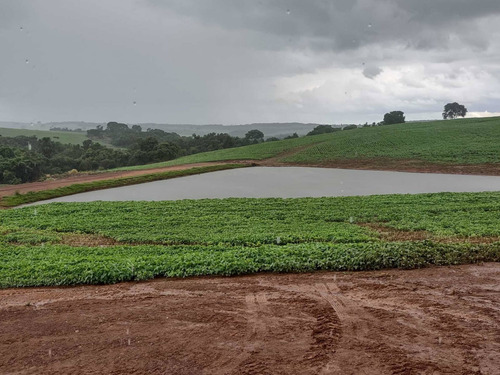 Imagem 5 de 5 de Fazenda Dupla Aptidão Município Piracanjuba