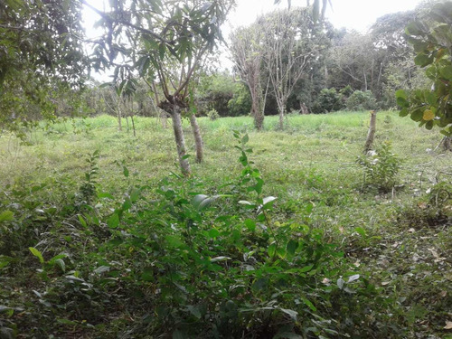 Te Vendo Excelente Finca En Monte Plata