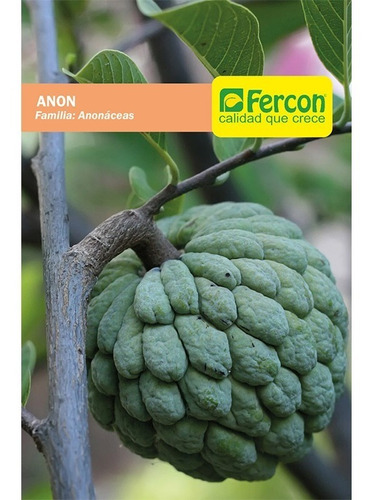 Semillas De Anón Árboles Frutales 98% Pureza Sobre X 3gr