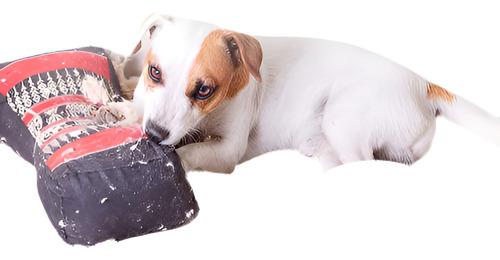 Divertido Perro Dientes Masticar Juguetes Puppy Bola Goma So
