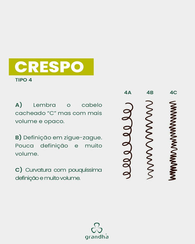 Kit Completo Grandha Vector Force 5 Produtos Cacho E Crespos