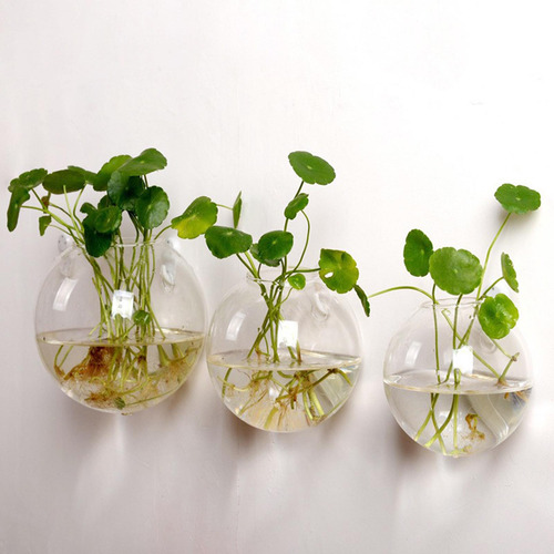 2 Conjunto De 5 Maceteros Colgantes Para Flores, Diseño 8cm