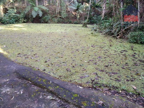 Chacara Mairiporã - Ch0296