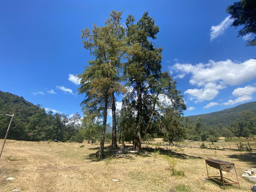 Parcela En Venta De 1 Hectarea Con Dos Casas Nuevas