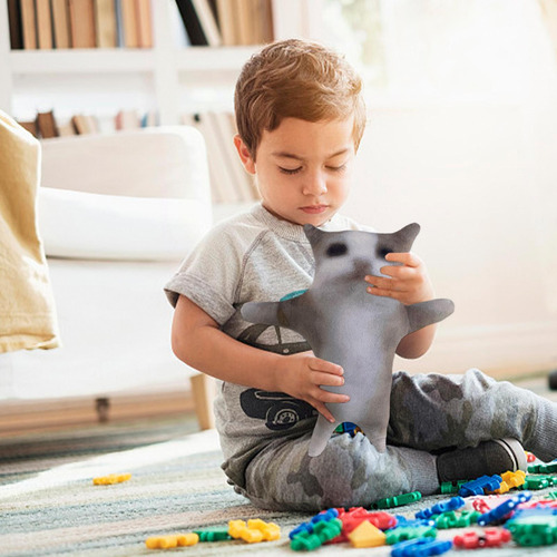Juguete De Peluche Para Gatos Almohada De Felpa Para Gatos A