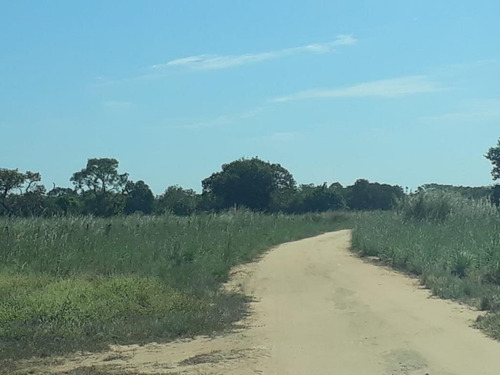 Imagem 2 de 28 de Fazenda À Venda, 3.106 Ha Por R$ 30.000.000 - Zona Rural - Cocalinho/mt - Fa0002