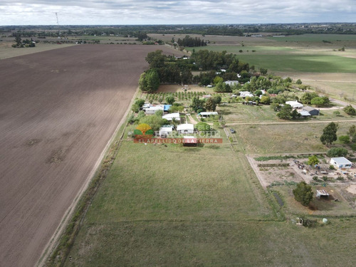 Imagen 7 de 17 de Casa Quinta A 4 Km Del Centro De Canelones, 5000 M2 De Terreno Ah-62784