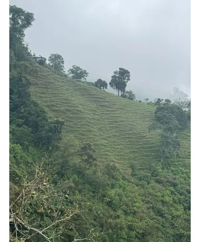 Lote En Venta En Vereda La Aurora Manizales | Venta Terreno