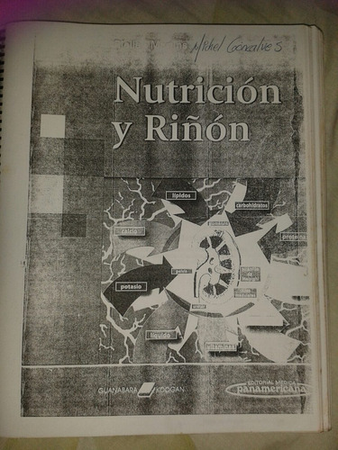 Nutricion Y Rinon  3