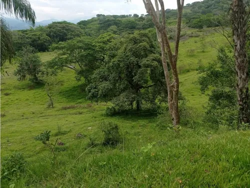 Vendo Lotes En La Pintada Con Vista A Farallones Desde 2.703 M²