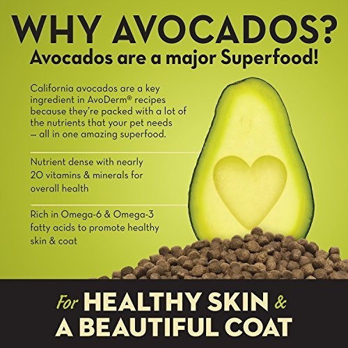Avoderm Natural Dog Food Para Cachorros Senior Small Breed Y