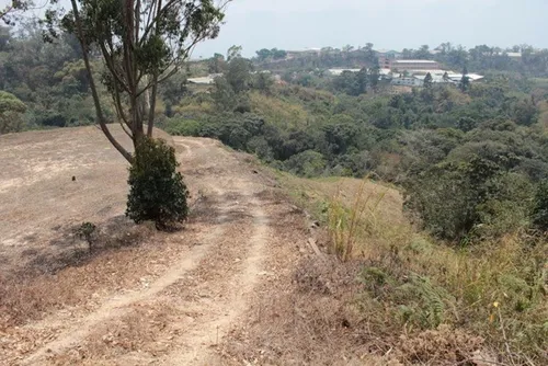 Vendo Terreno En Carrizal