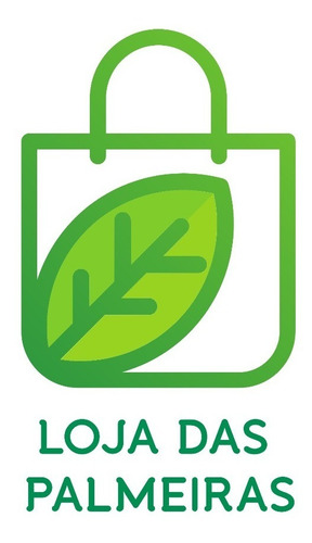 Rabo De Raposa 7m Melhor Palmeira Para Calçada