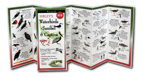 Sibley's Waterbirds Of Sanibel & Captiva: Scb-100