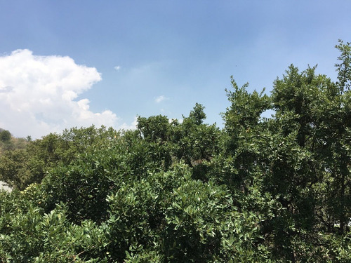 Venta De Terreno En Boulevard Bosque Real, Huixquilucan, Tvi1020