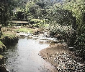 Lote El Carmen De Viboral Con Rio Cristalino